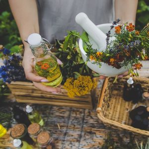 Maître Herboriste : Un Pack d'Apprentissage Intégral - paiement unique